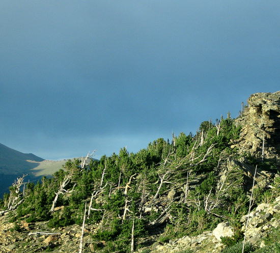 Click Picture to send as an  E-PostCard 66k 550x497